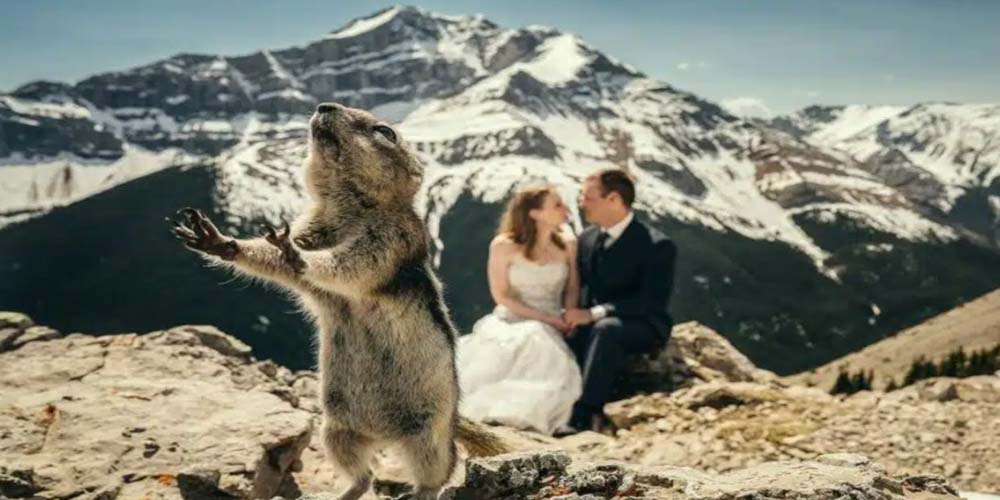 this squirrel found religion